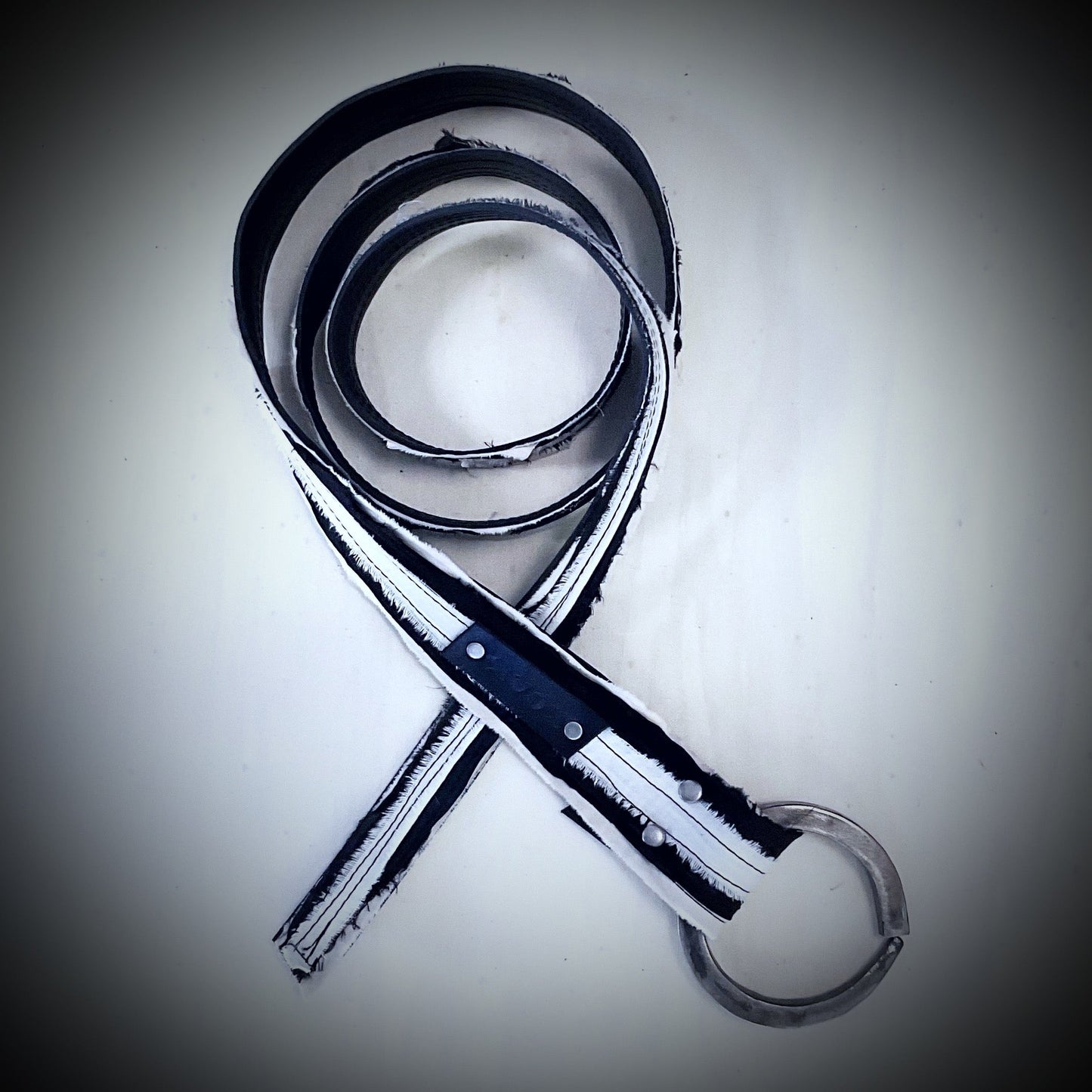 Elodi Belt - Rags To Riches