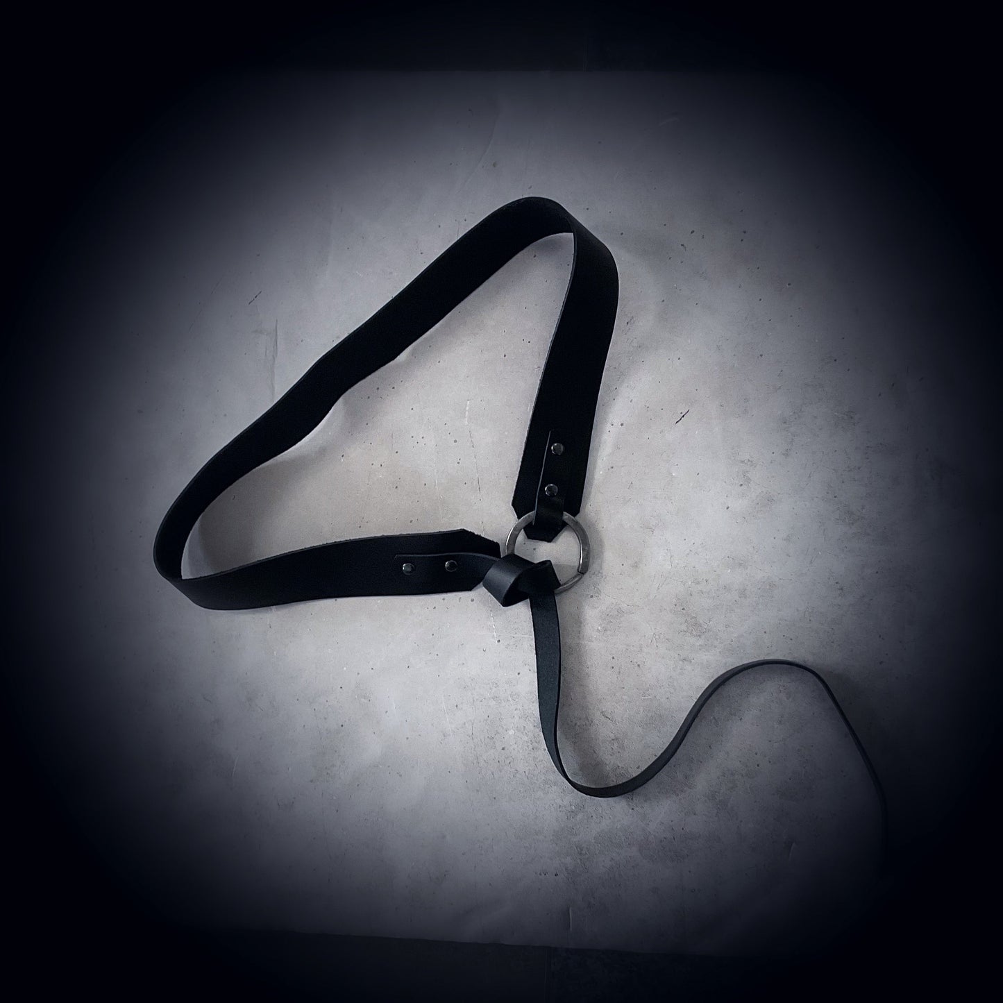 Elodi Thin Wrap Belt - The Sienna